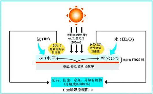 光触媒涂料厂家,光触媒涂料厂家与精细设计策略，创新之路的探索与实践,现状分析说明_安卓版83.27.21