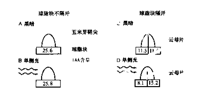 仪表台上受损如何修复