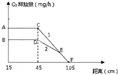 分离细胞的离心机