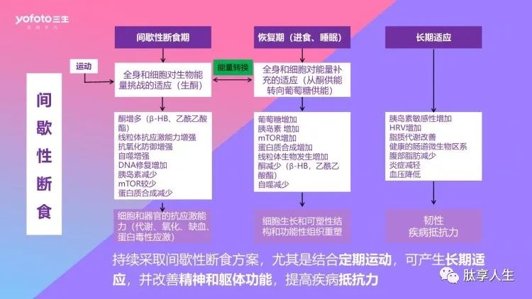 北京减肥中医专家,北京减肥中医专家，系统化分析说明与探索（开发版 137.19）,定量分析解释定义_复古版94.32.55