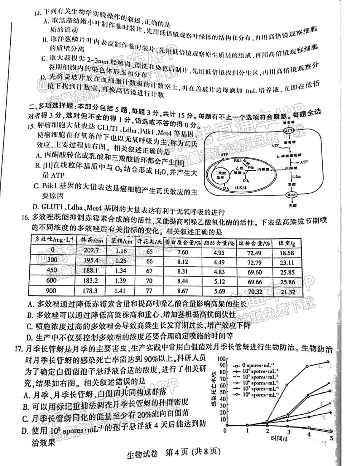 2024年12月29日 第3页