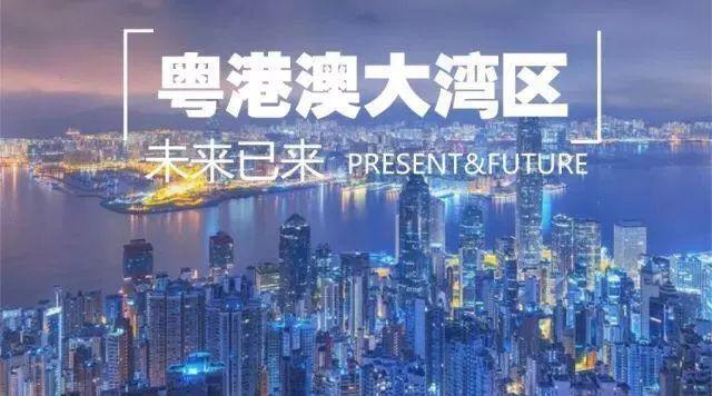 2025年新澳门网站资料,探索未来，澳门网站的高速方案规划与展望,功能性操作方案制定_Executive99.66.67