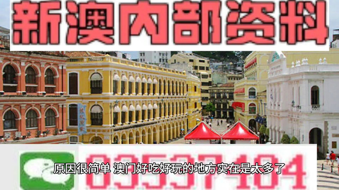 澳门最精准免费资料大全旅游团,澳门最精准免费资料大全旅游团与专业说明评估，粉丝版探索之旅,全面应用数据分析_挑战款69.73.21