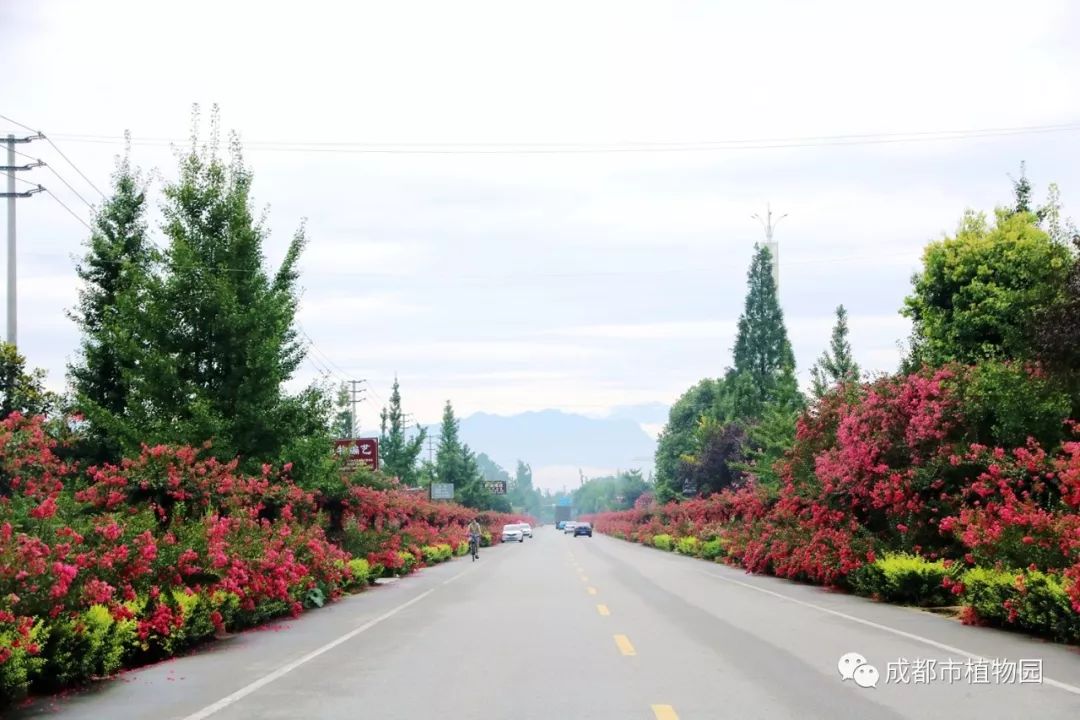 植物编艺公园怎么样