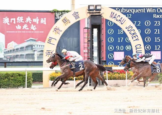 今天澳门今晚马出什么