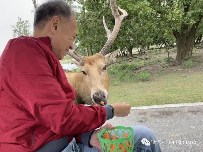 澳门四不象沦纭正版四不象论纭